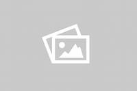 Cartoon Eagle Mug Funny Eagle Mug American eagle animal mug unique gift idea home decor mug novelty mug bird mug nature lovers gift